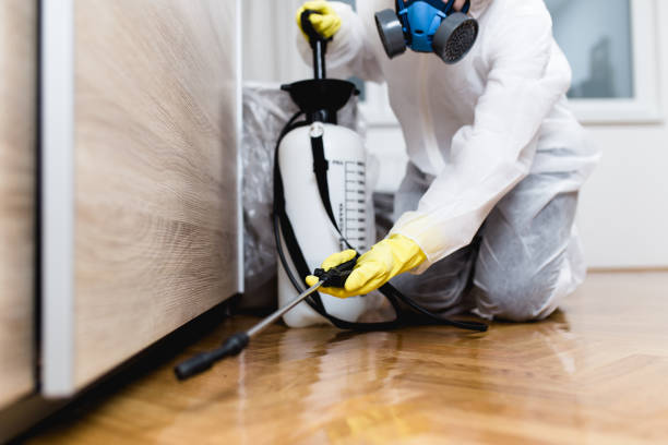 Best Flea Control Services  in Davis, CA