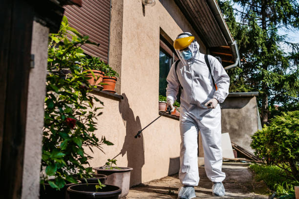 Best Flea Control Services  in Davis, CA