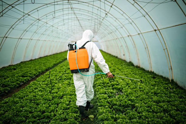 Best Commercial Pest Control Services  in Davis, CA