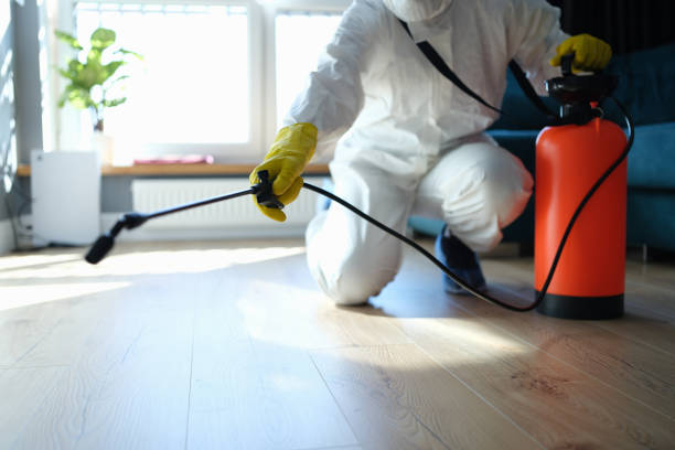 Best Local Pest Control Services  in Davis, CA