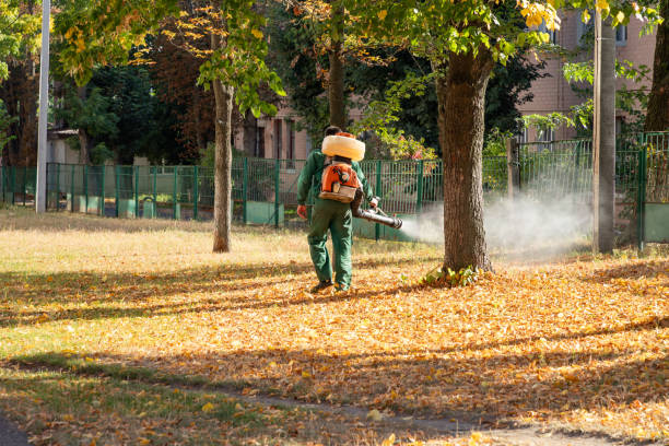 Best Pest Prevention Services  in Davis, CA