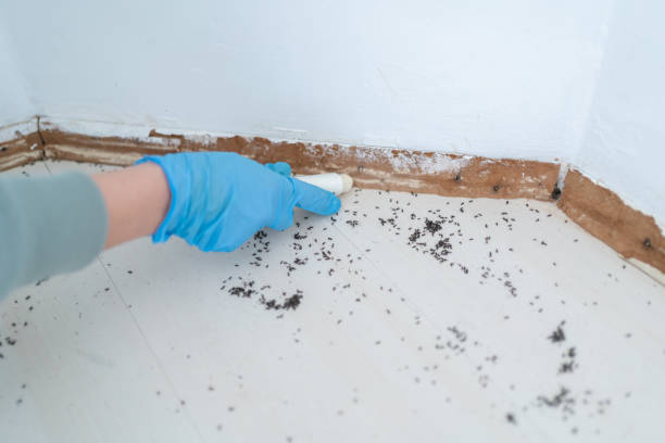 Best Commercial Pest Control Services  in Davis, CA
