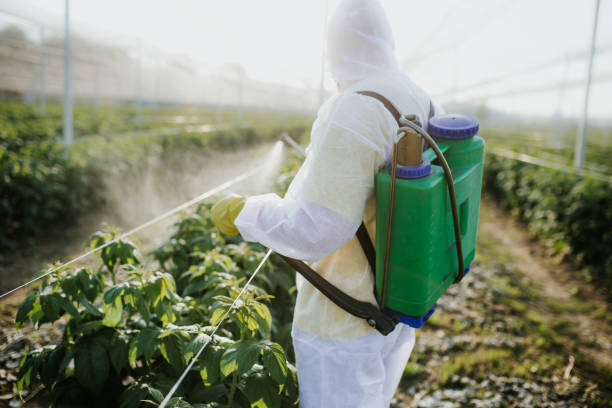 Best Best Pest Control Companies  in Davis, CA